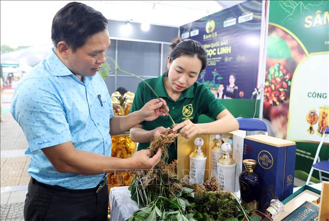 Giới thiểu sản phẩm Sâm Ngọc Linh đến với du khách. Ảnh: Trần Tĩnh - TTXVN 