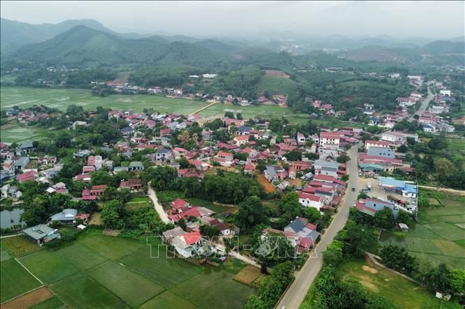 Những đồi chè xanh được quy hoạch theo mô hình sản xuất hàng hóa tập trung tại xã Võ Miếu (Phú Thọ). Ảnh: Tạ Toàn – TTXVN