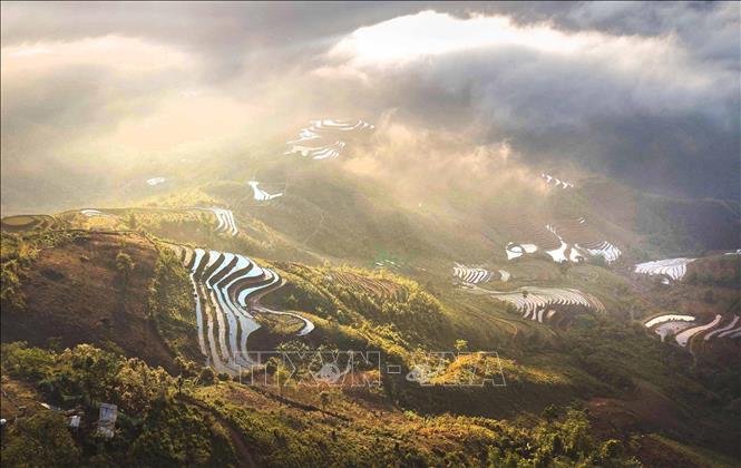 A picturesque view of Lang Sang village (Ta Xua commune)'s terraced rice fields in the watering season. VNA Photo: Trọng Đạt