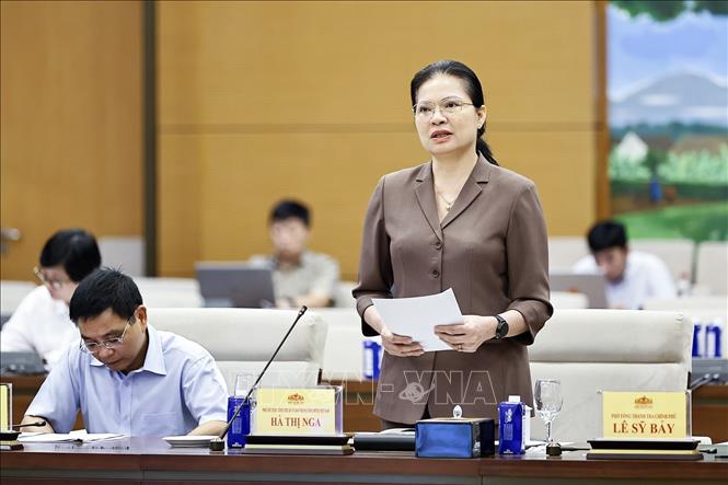 Phó Chủ tịch - Tổng Thư ký Ủy ban Trung ương MTTQ Việt Nam Hà Thị Nga phát biểu. Ảnh: Doãn Tấn - TTXVN