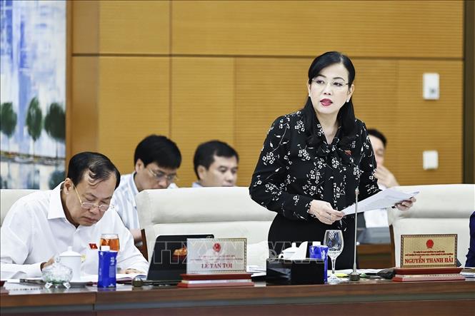 Chủ nhiệm Ủy ban Khoa học, Công nghệ và Bet88447 kho game phong phú của Bet88app còn khuyến mãi Nguyễn Thanh Hải phát biểu. Ảnh: Doãn Tấn - TTXVN