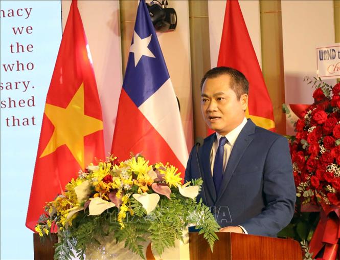 Chủ tịch Liên hiệp các tổ chức hữu nghị thành phố Đà Nẵng Nguyễn Ngọc Bình phát biểu chào mừng lễ kỷ niệm. Ảnh: Trần Lê Lâm - TTXVN 