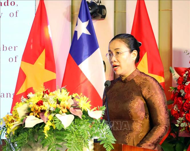 Phó Chủ tịch Ủy ban Nhân dân thành phố Đà Nẵng Nguyễn Thị Anh Thi phát biểu tại lễ kỷ niệm. Ảnh: Trần Lê Lâm - TTXVN 