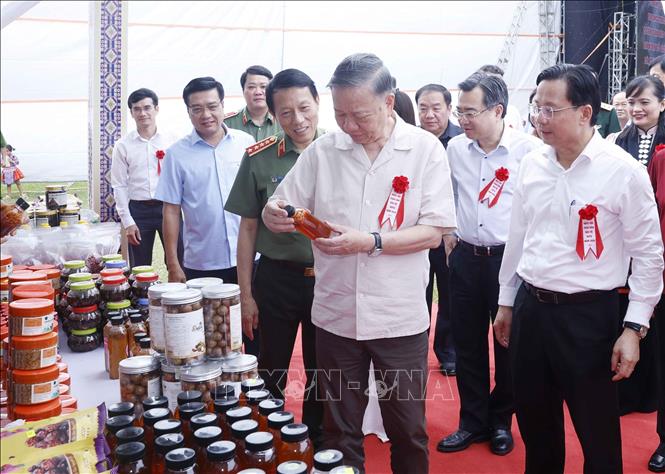 Bet8801234.com cá cược độc quyền, Chủ tịch nước Tô Lâm xem trưng bày các sản phẩm tại Ngày hội Toàn dân bảo vệ an ninh Tổ quốc tại bản Lóng Luông, xã Vân Hồ. Ảnh: Thống Nhất – TTXVN