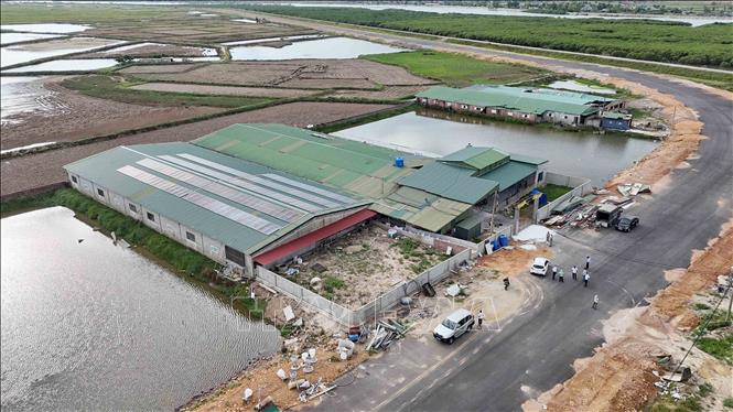 Một trang trại chăn nuôi lợn quy mô lớn tại phường Trần Phú, tỉnh Hà Tĩnh. Ảnh: Hữu Quyết - TTXVN